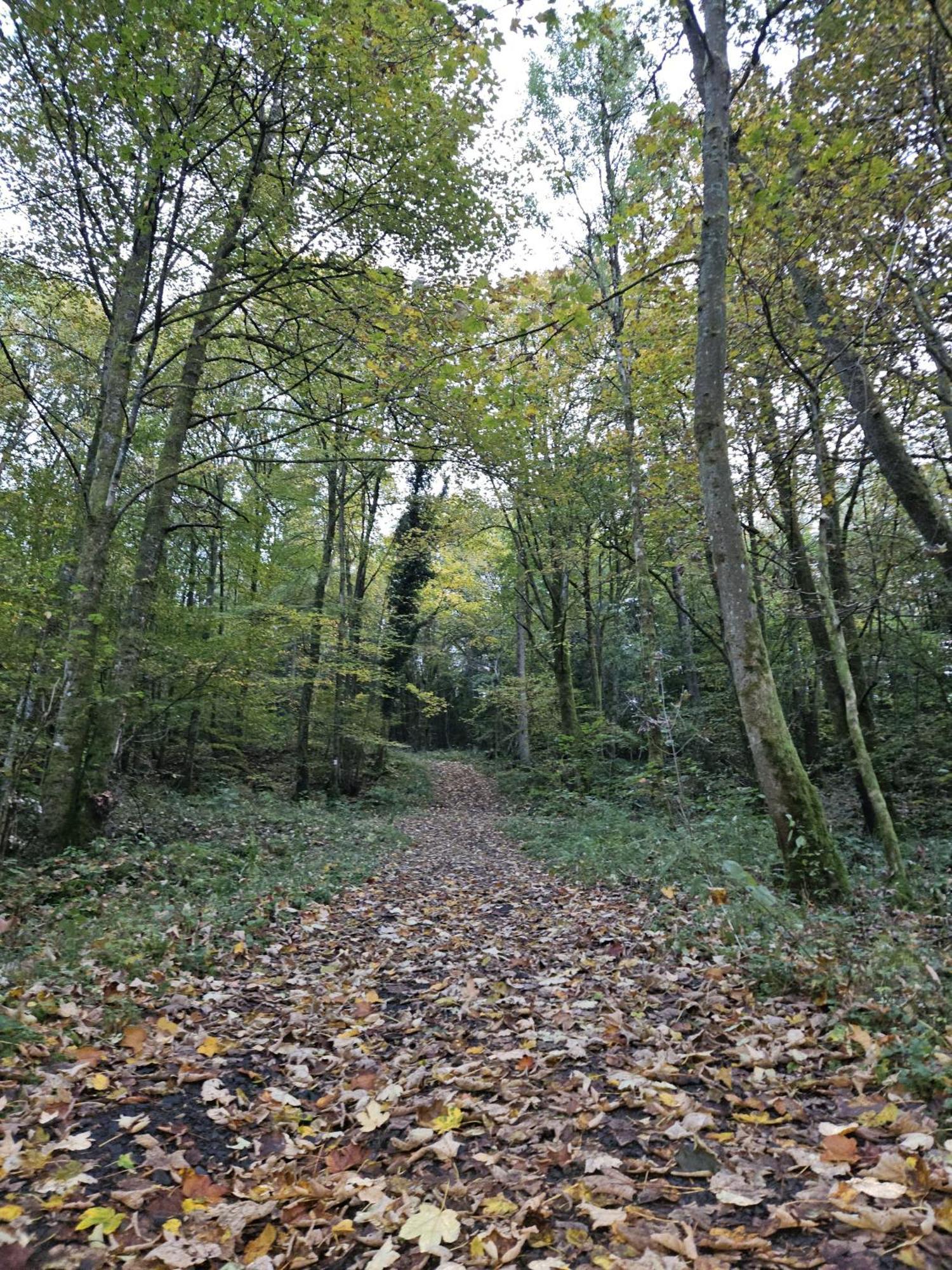Gemuetliche Ferienwohnung Im Westerwald - "Ferienwohnung Grau" Weitefeld Ngoại thất bức ảnh